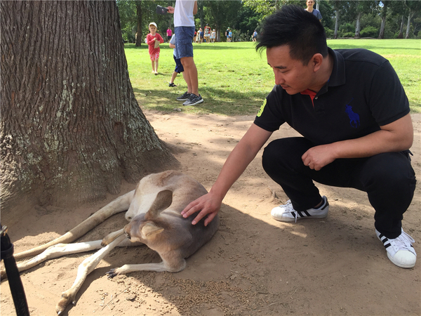 微信图片_20190530181504.jpg